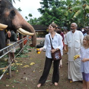 04_Den-Tempelelefanten-besuchen-Hier-werden-die-Elefanten-für-das-Tempelfest-geschmückt