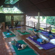 19_Kinderyoga-im-BASIS-Eine-Einführung-für-unseren-jungen-Gäste