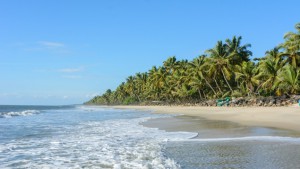Seaside Kerala India Ecotourism BASIS