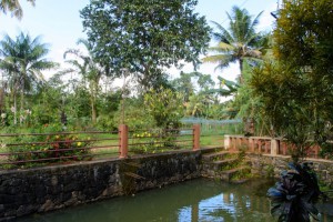 waterfront kerala india eco tourism