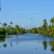 BASIS REISEN - Indien sehen, erleben und geniessen